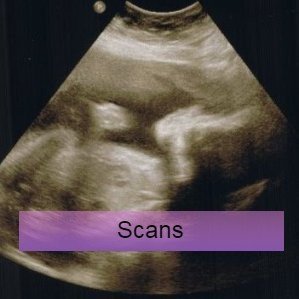 a scan image research and guidelines